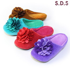 SDS _A [V[Y 􂦂 Xbp ̉